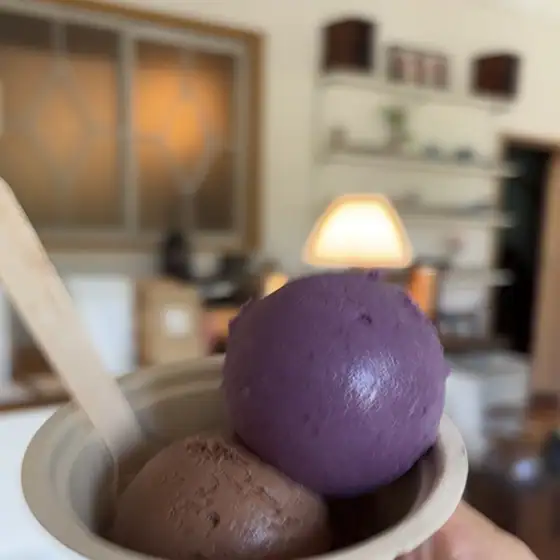Arbol Icecream