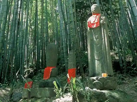 Matsumoto Toge Hana no Kutsu (Kumanoshi Kodo Ise Michi)