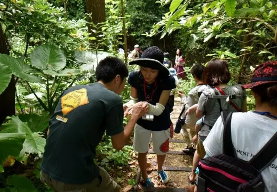 Kumejima Firefly Museum