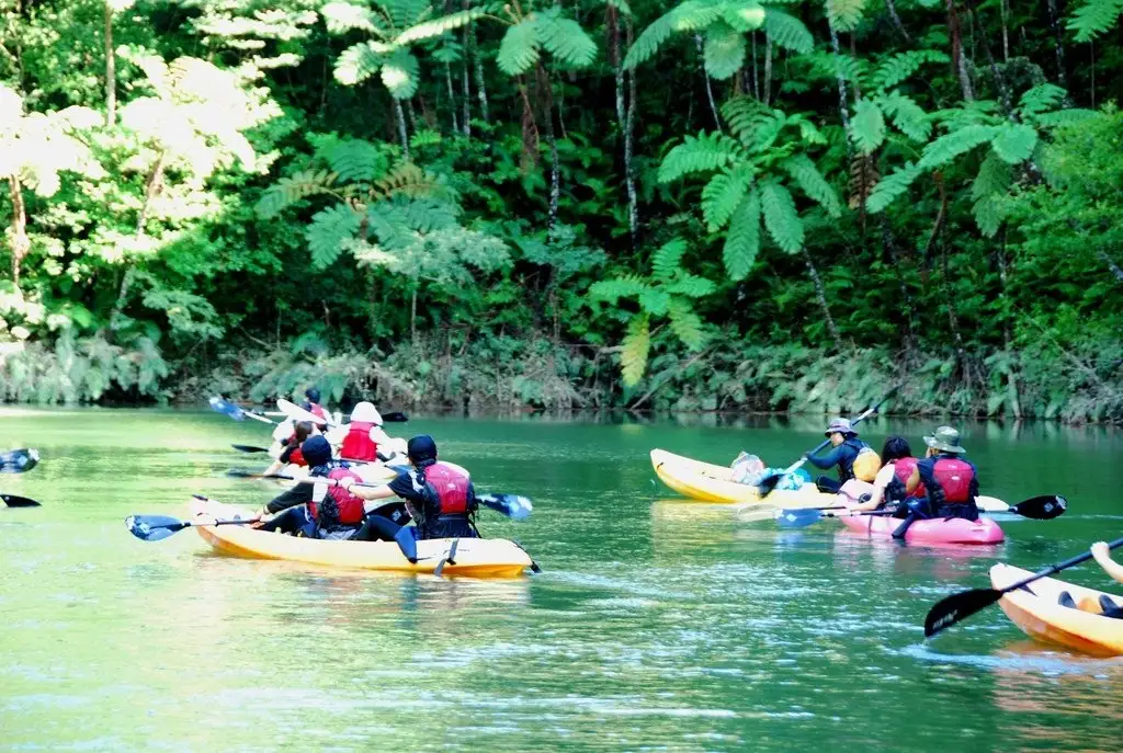 Kunigami Village Environmental Education Center "Yanbaru Learning Forest"