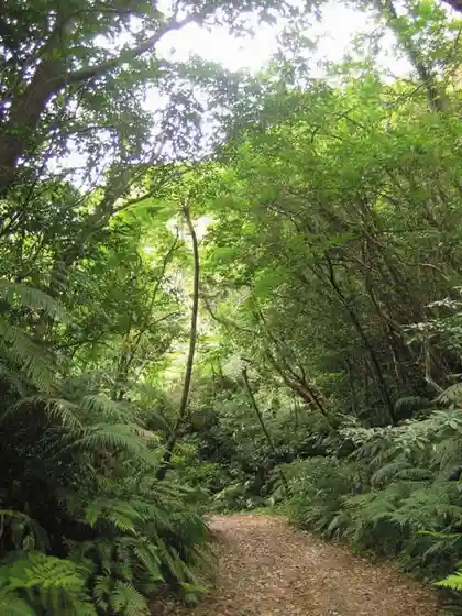 Course to Mount Yonaha's Ninth Station