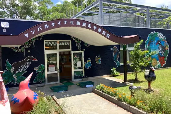 Yanbaru Kuina Ecological Exhibition Learning Facility Kuina Forest
