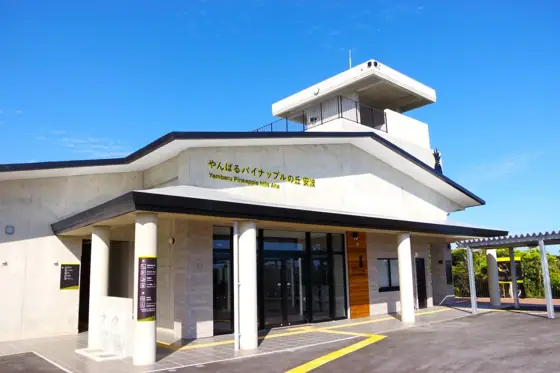 Roadside Station Yanbaru Pineapple Hill Aha