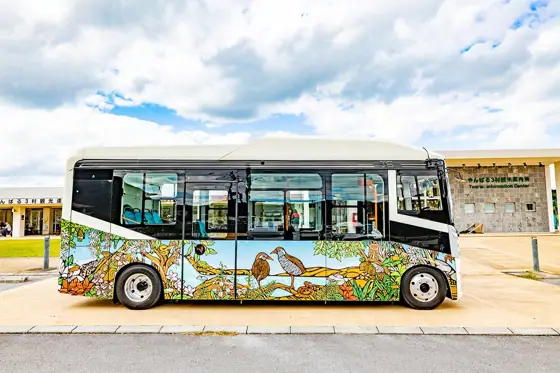 Yambaru Forest Nature Guide Tour