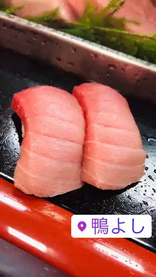鴨よし