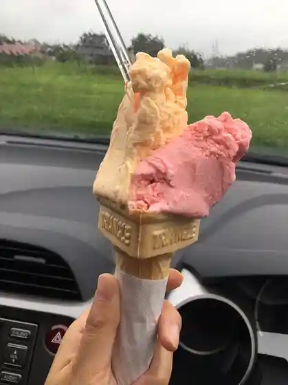 あぐりっこ金成