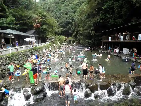 Tado Kyo Tennen Puru