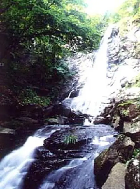 Shichi Taki