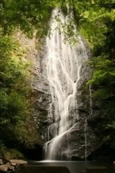 Kon Taki