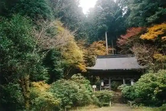 Shimei In
