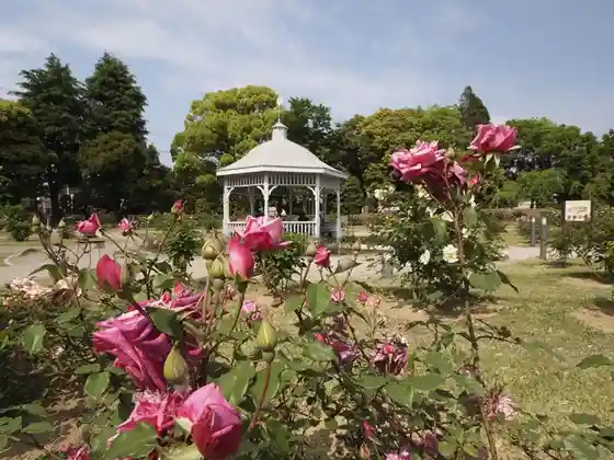 Shikishima Park Kadokura Techno Rose Garden