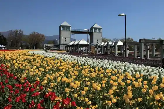 Gunma Flower Park +
