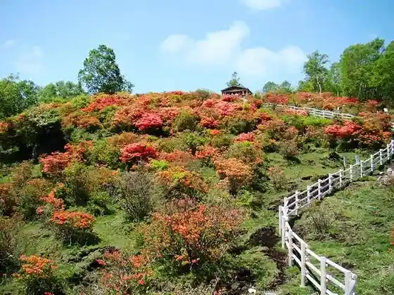 Akagi Shirakaba Ranch