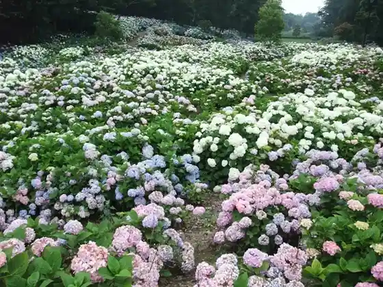 Environmental System Ogikubo Park