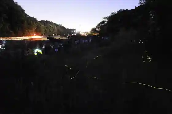 Taguchi-machi Firefly Village