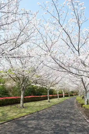 Seto Park