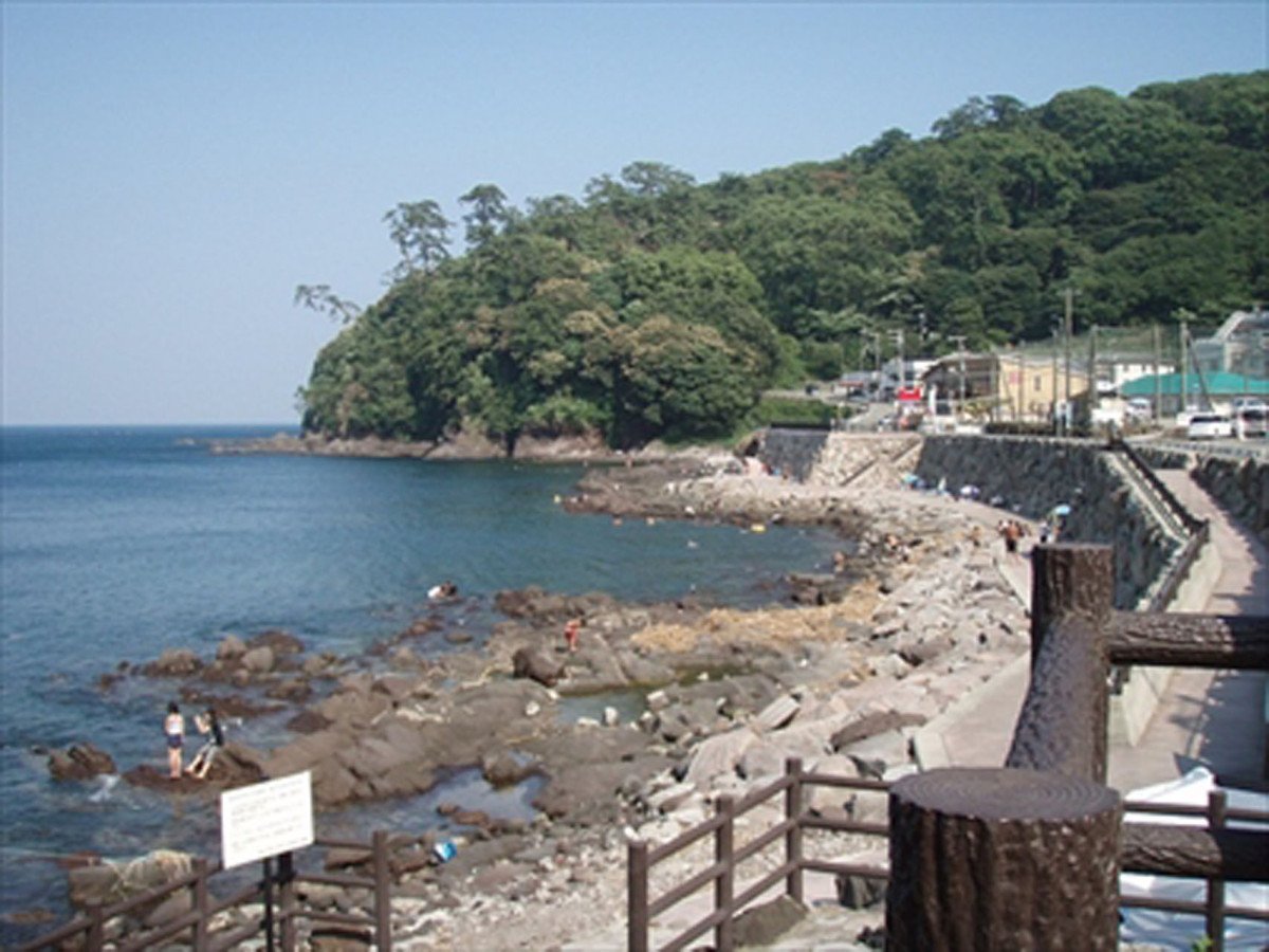 Kotogahama Beach