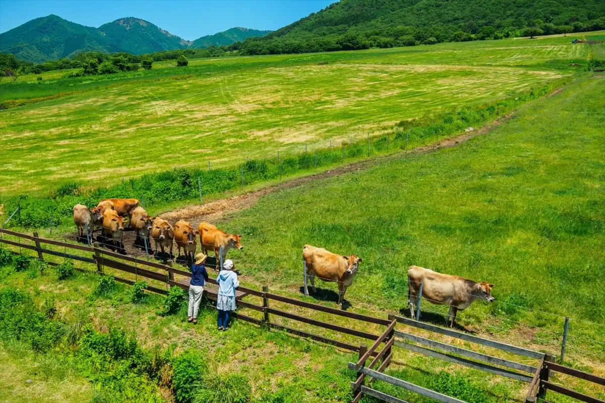 Hiruzen Highlands