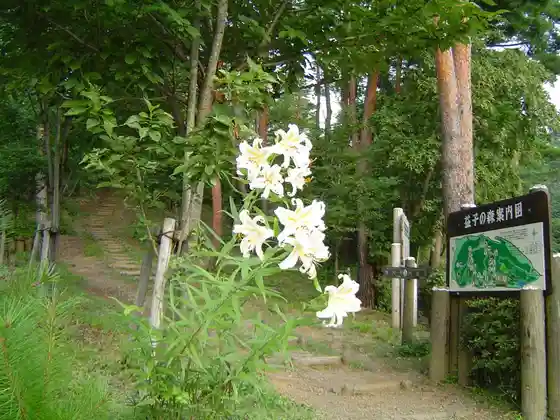 Mashiko Prefectural Nature Park (Mashiko Forest)