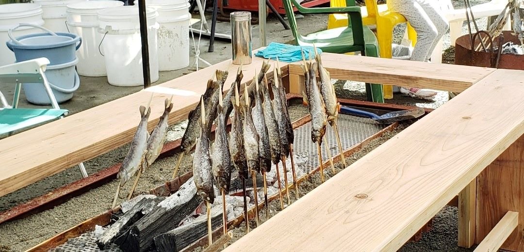 Yori Clear Stream Trout Fishing Ground