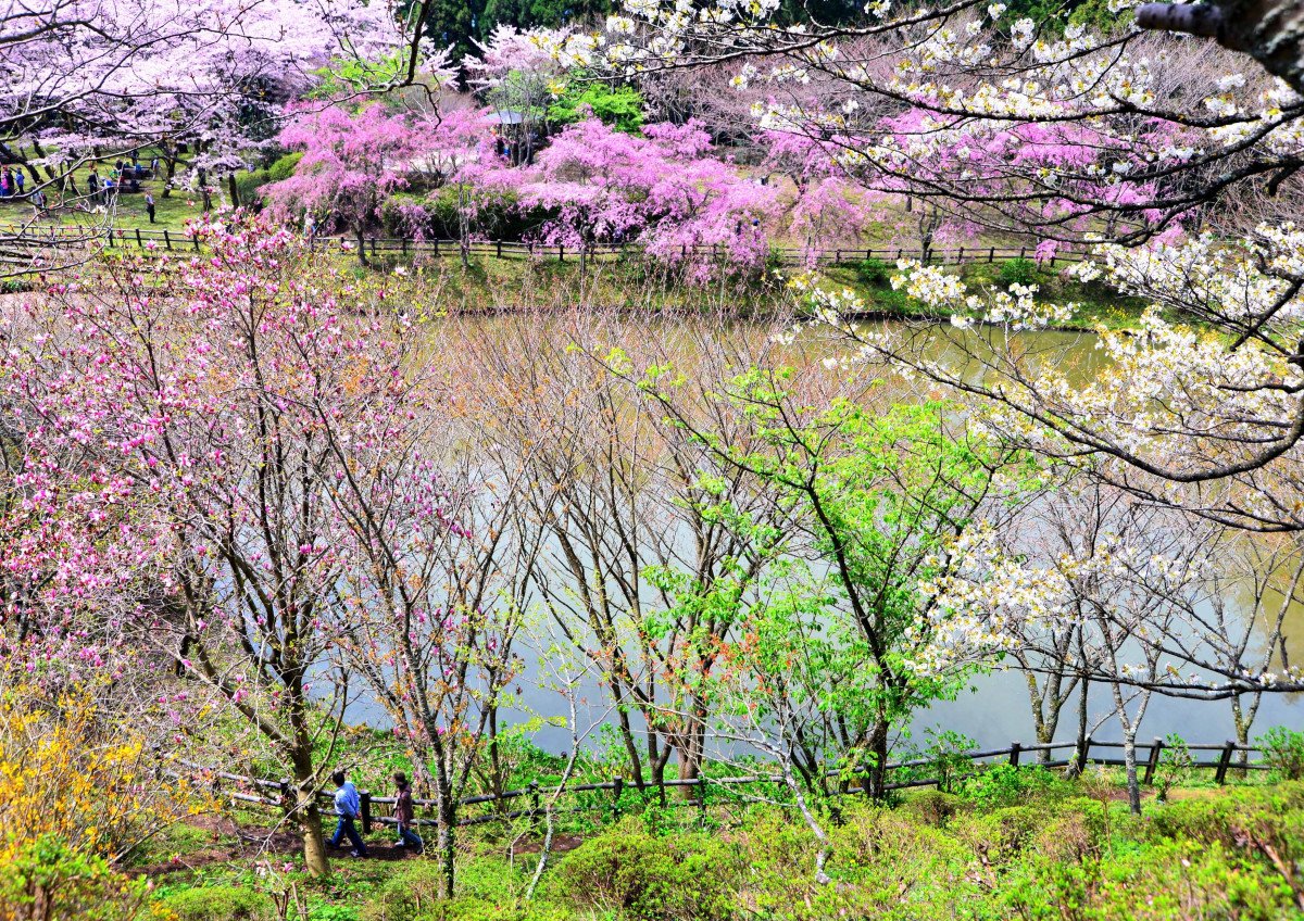 Saimyo Tera Shiseki Park