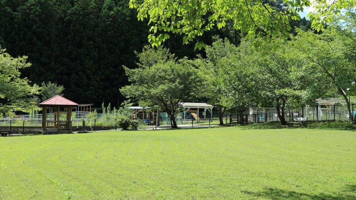 Yadoriki Seven Stars Dog Run & Cafe