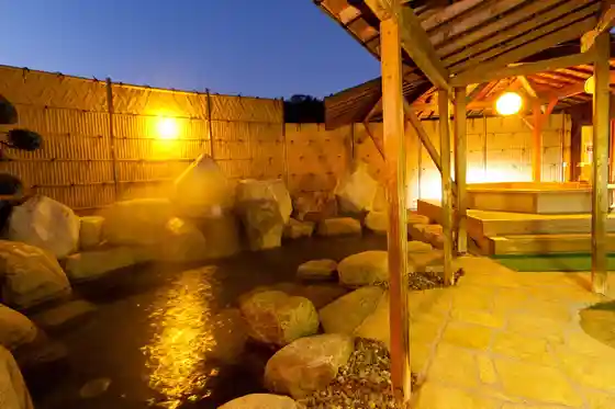 Shinshu Matsukawa Onsen Seiryu En