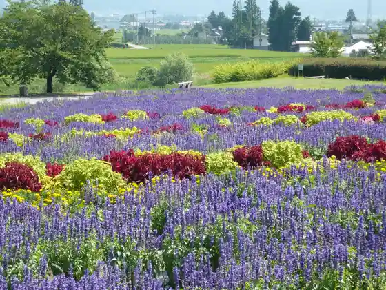 Azumino Chihiro Park Ohana Dan