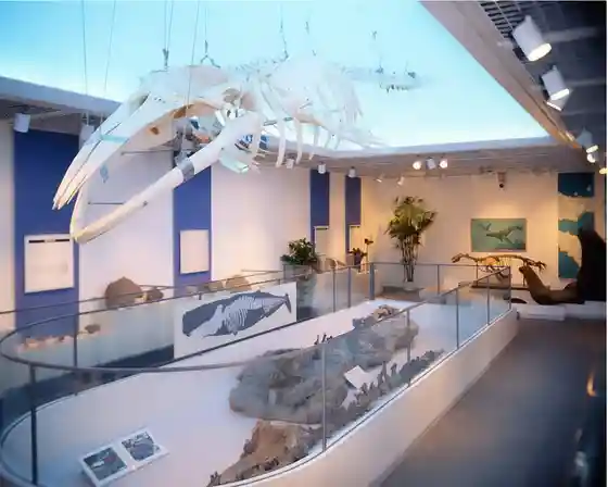 Matsumoto City Shiga Fossil Museum