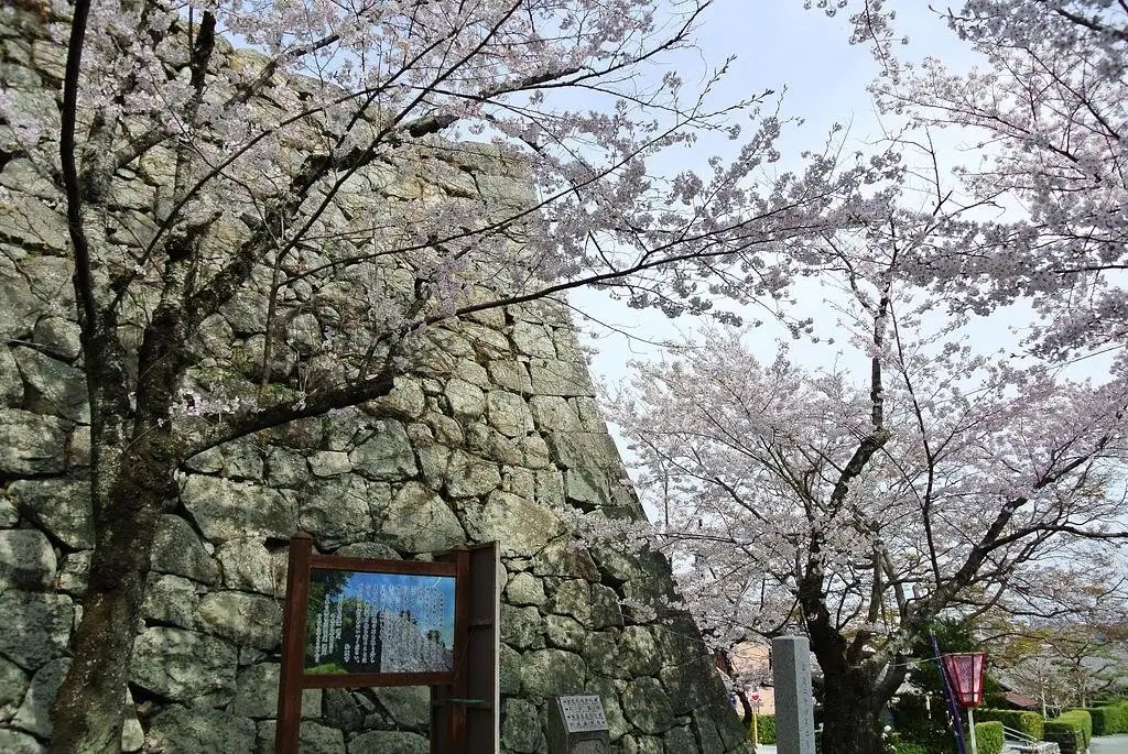 Matsusaka Castle Ruins (Matsusaka Park)