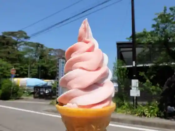 蜂谷商店