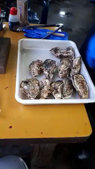 旬味 かきの里