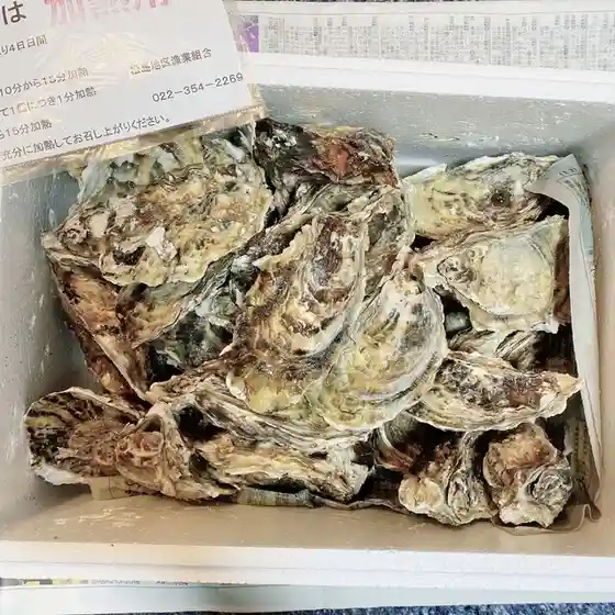 松島地区漁業組合 生かき直売所