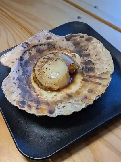 牡蠣将