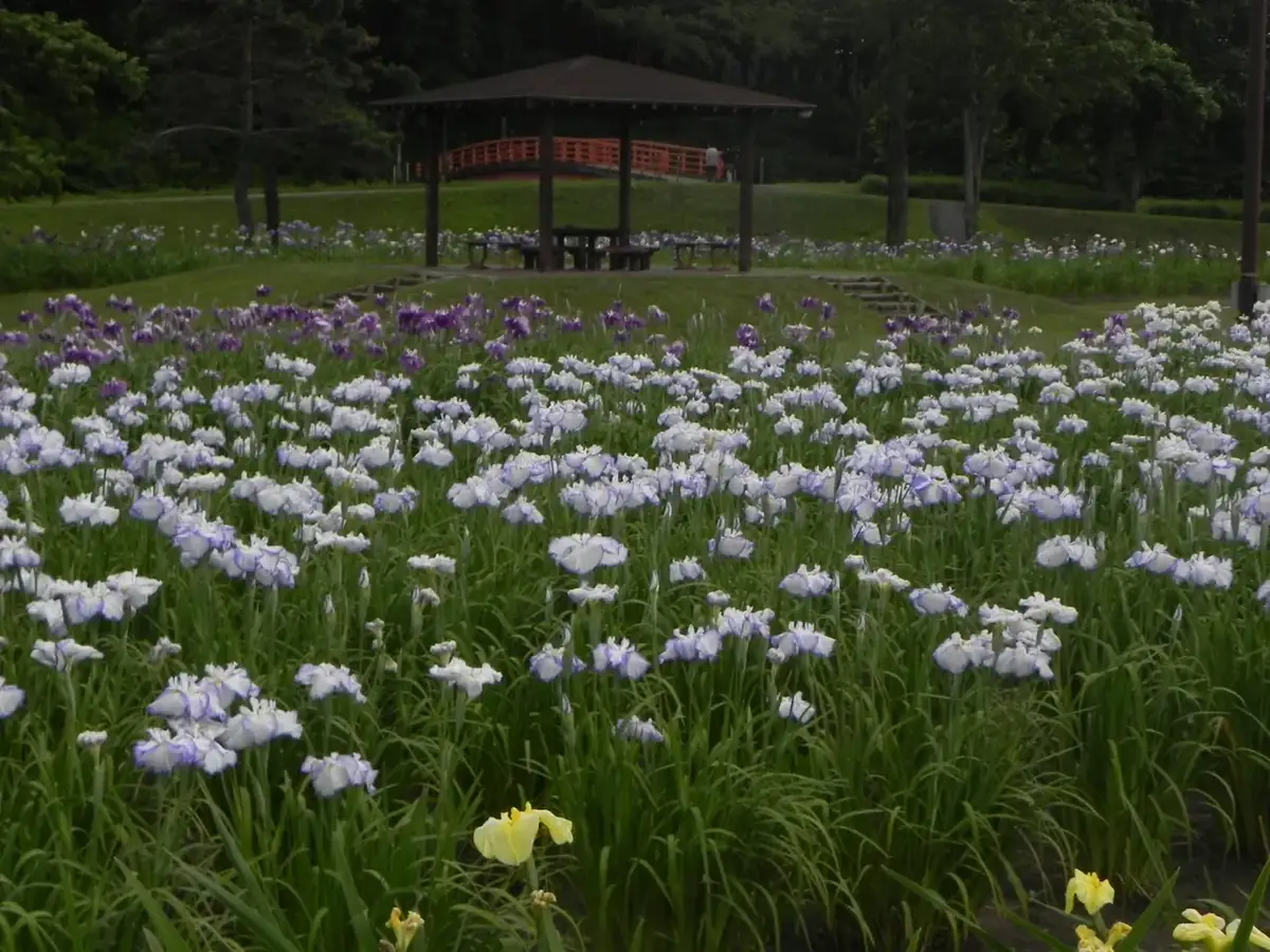 Memuro, Hokkaido
