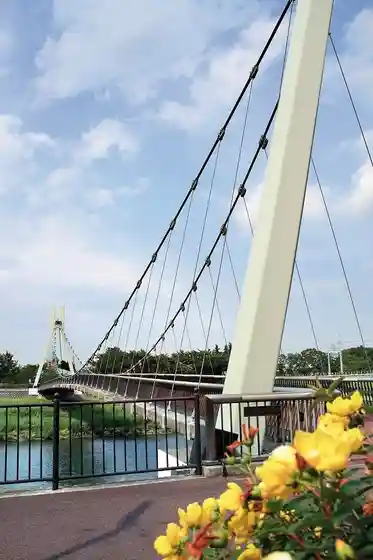Shinonome Sakura Bridge