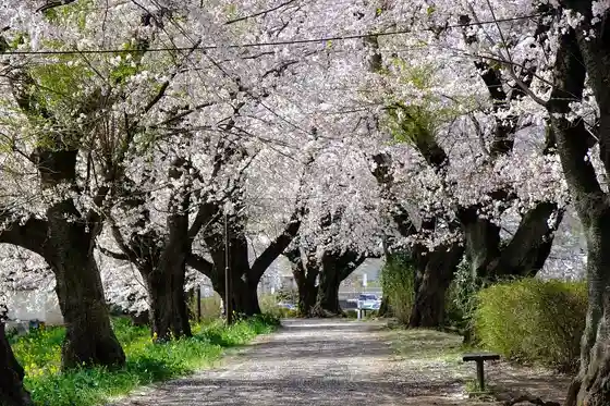 Shikanogawa Pond