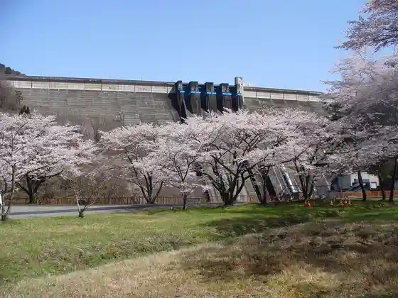 Water Plaza (Cherry Blossoms)