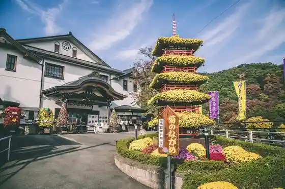 Kanto Chrysanthemum Exhibition (Omama, Midori City)