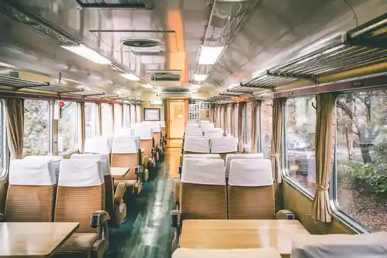 Train Restaurant Seiryu (Godo Station)