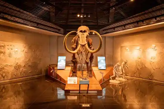 Iwajuku Museum