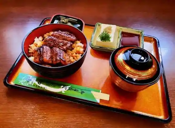 Unagi Hatsune