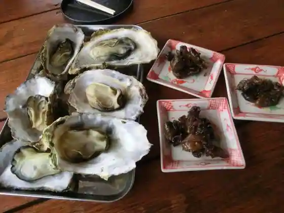 Seko Kaki