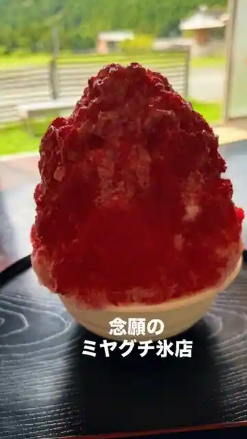 Miyaguchi Kori