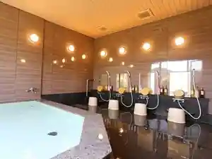 Hotel Castle Inn Suzuka Chuo (Kyu Hotel Castle Inn Tamagaki)