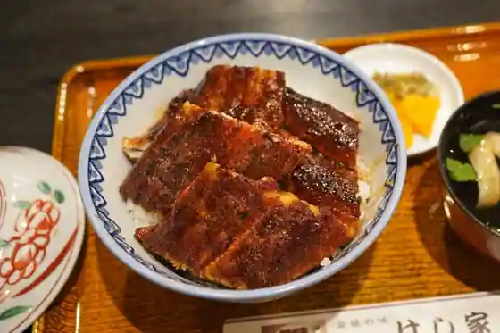 Unagi Ryori Hashi Ie