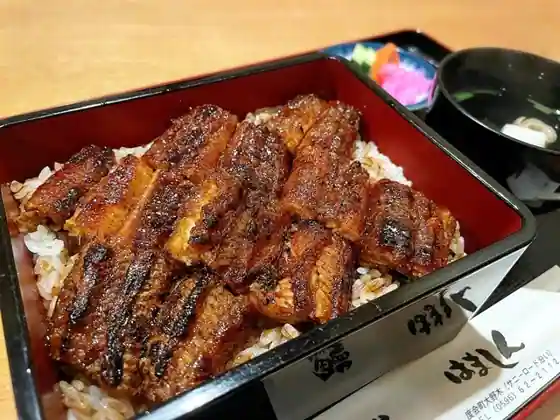Unagi Hamashin