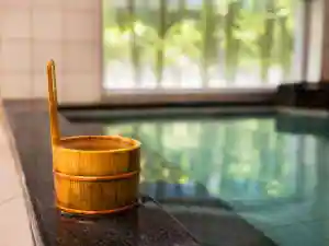 Super Hotel Yokkaichi Kokudo 1 Go En Tennen Onsen O Zaisho Gaku No Yu