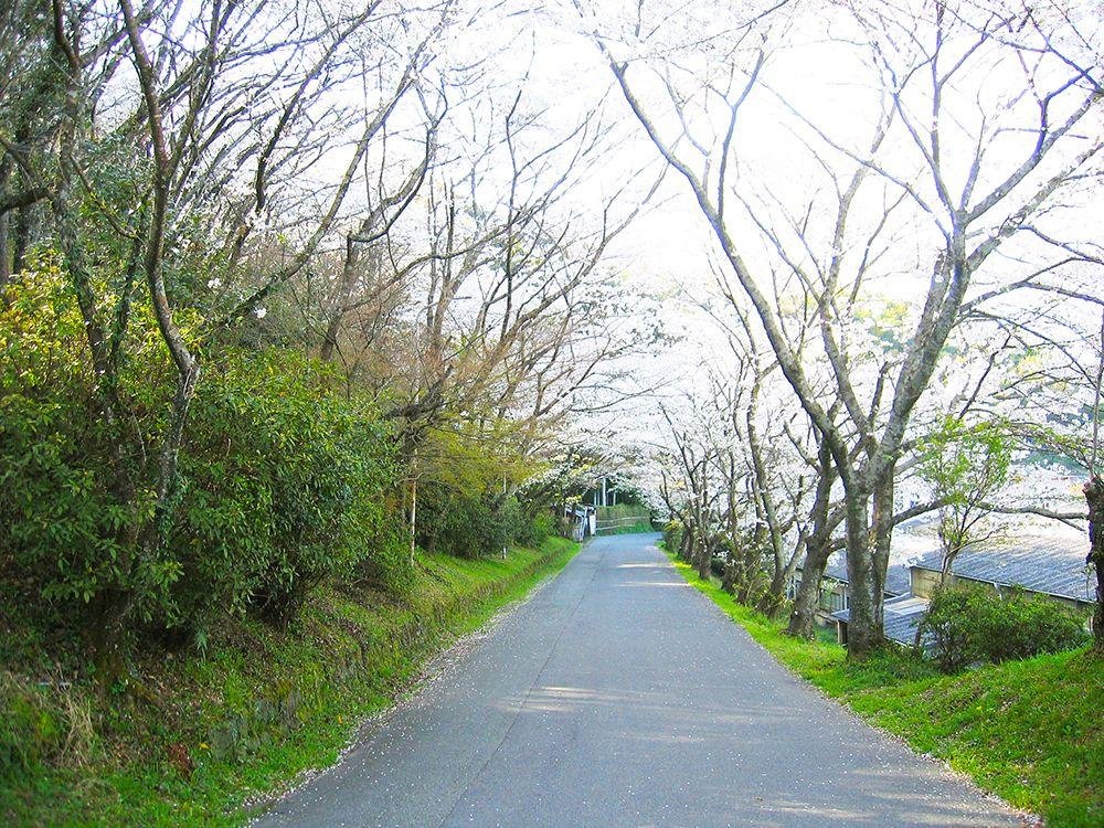 Myokenzaka Park