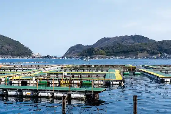 Fisshingu Land Hyuga